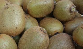 徐香猕猴桃 徐香猕猴桃